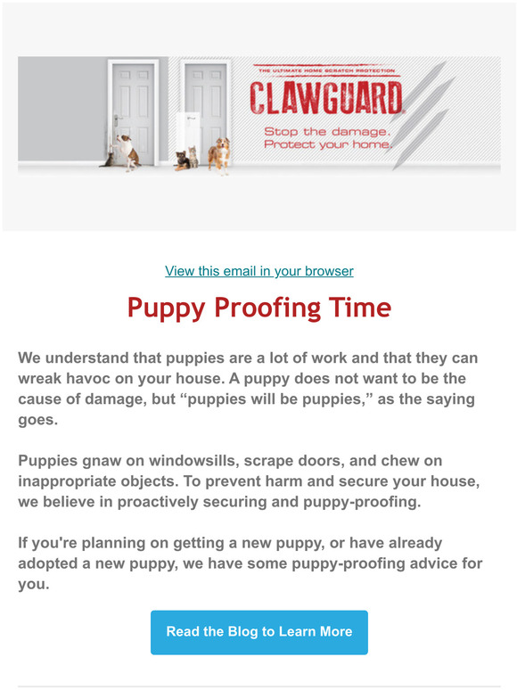 It's Puppy Season: Puppy Proofing Time