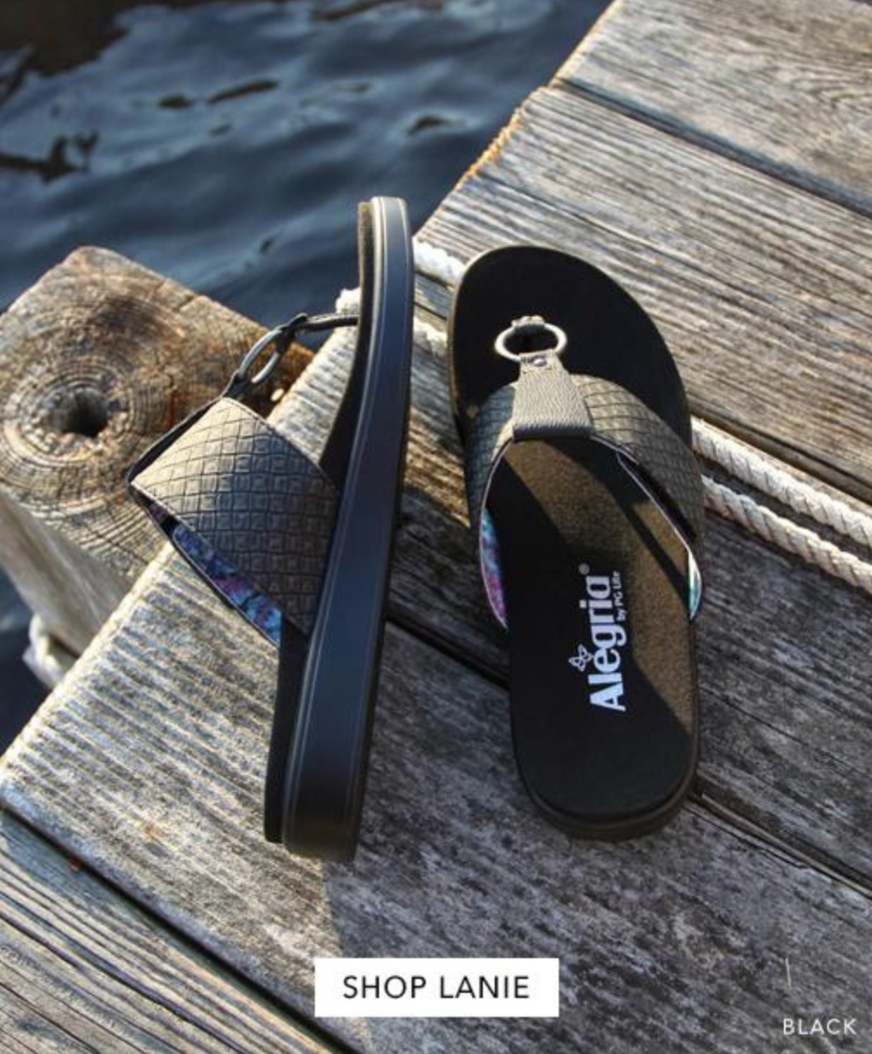 alegria shoes winston salem nc on Alegriashoeshop Com Comfort Flats Trending Now Milled