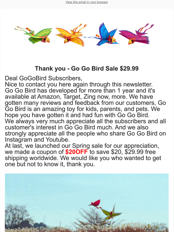 Go Go Bird Promotion