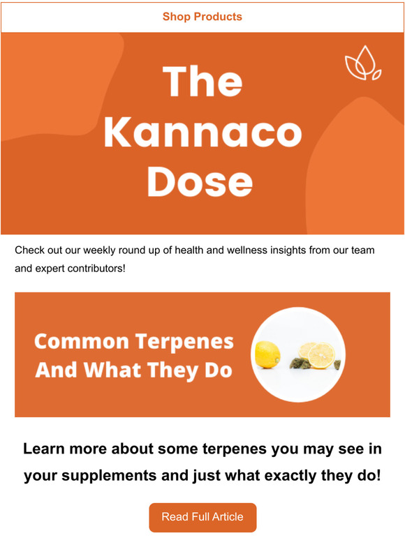 Learn More About Common Terpenes and What They Do