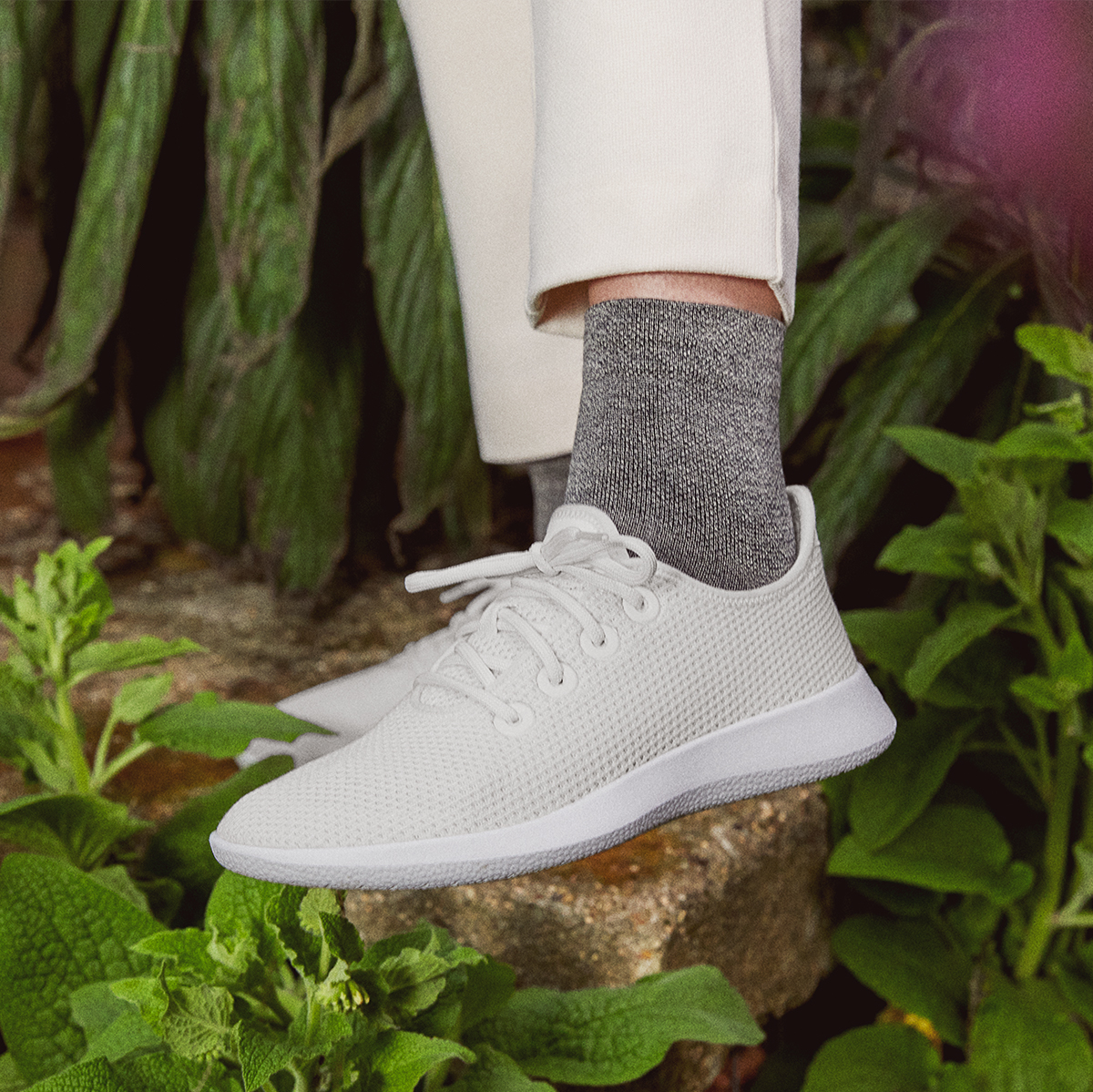 allbirds all white