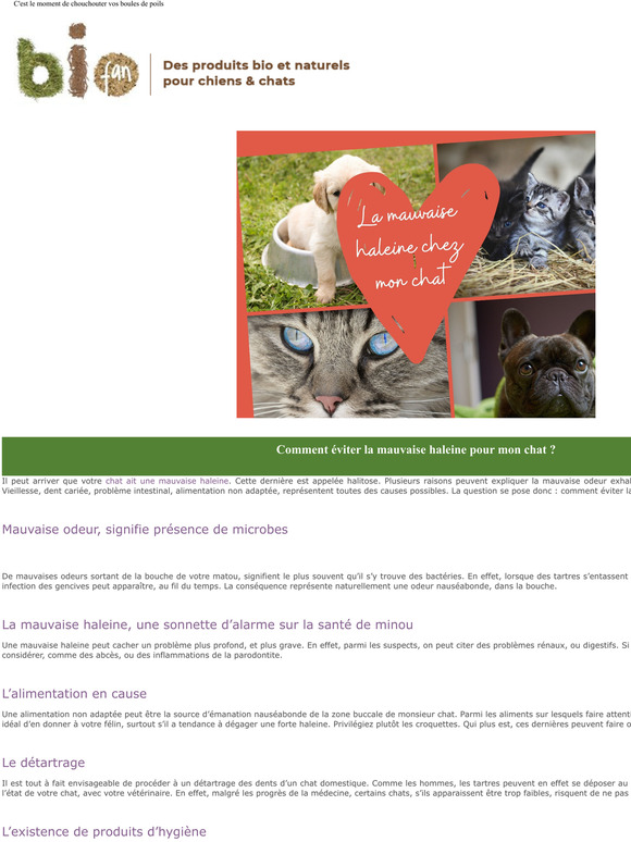  Comment viter la mauvaise haleine pour mon chat ?