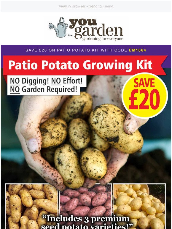 SAVE 20 on 'Patio Potato Growing Kit' TODAY!