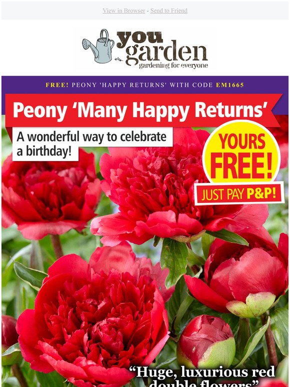 FREE! Peony 'Many Happy Returns' : Limited Stock : EMAIL EXCLUSIVE TODAY!