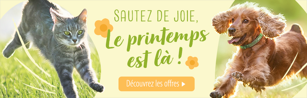 Zooplus Be 100 Zoopoints Offerts Pour Fter L Arrive Du Printemps Milled