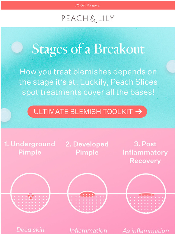 Peach and Lily Email Newsletters: Shop Sales, Discounts, and Coupon Codes