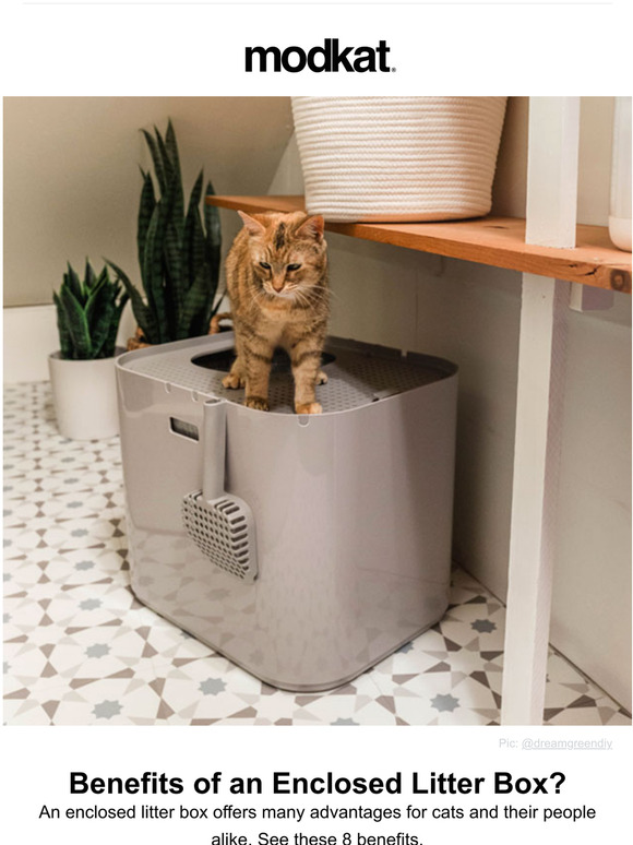 Modkat Benefits of an Enclosed Litter Box Milled