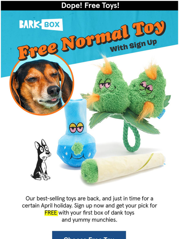 barkbox cactus bundle