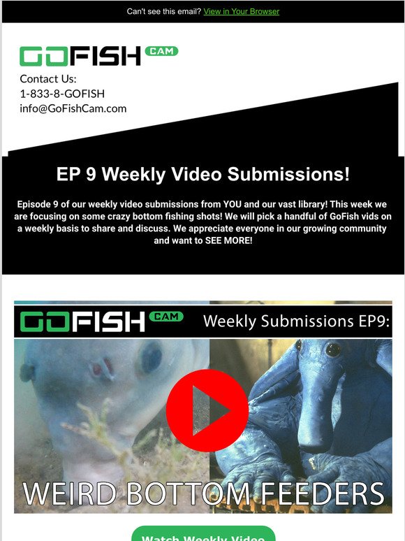 GoFish Cam: Early Black Friday Release Today!