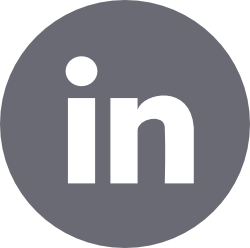 linkedIn icon