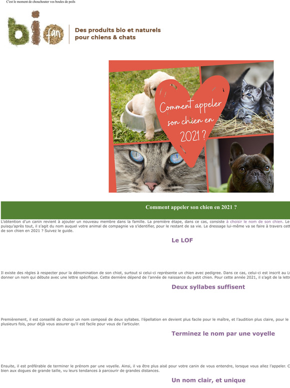Biofan: Comment appeler son chien en 2021 ?  Milled