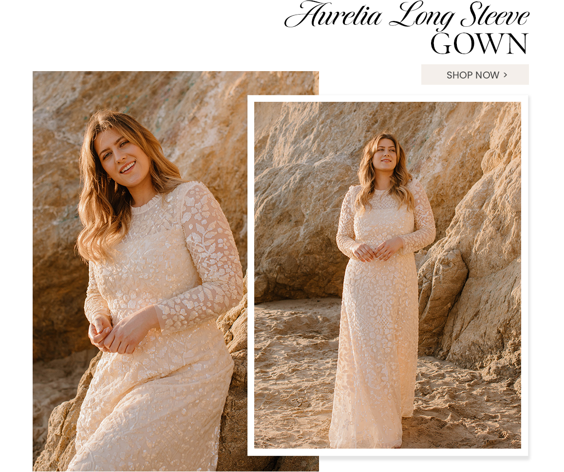 aurelia long sleeve ballerina dress