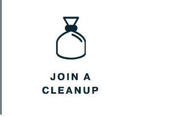 Join a Cleanup