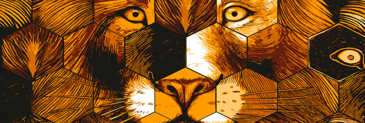 Muchachomalo: Support het Nederlands elftal met onze unieke EK boxershort  voor een speciale prijs 34,95 | Milled