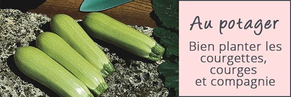 AU POTAGER