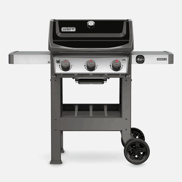 Weber Braais