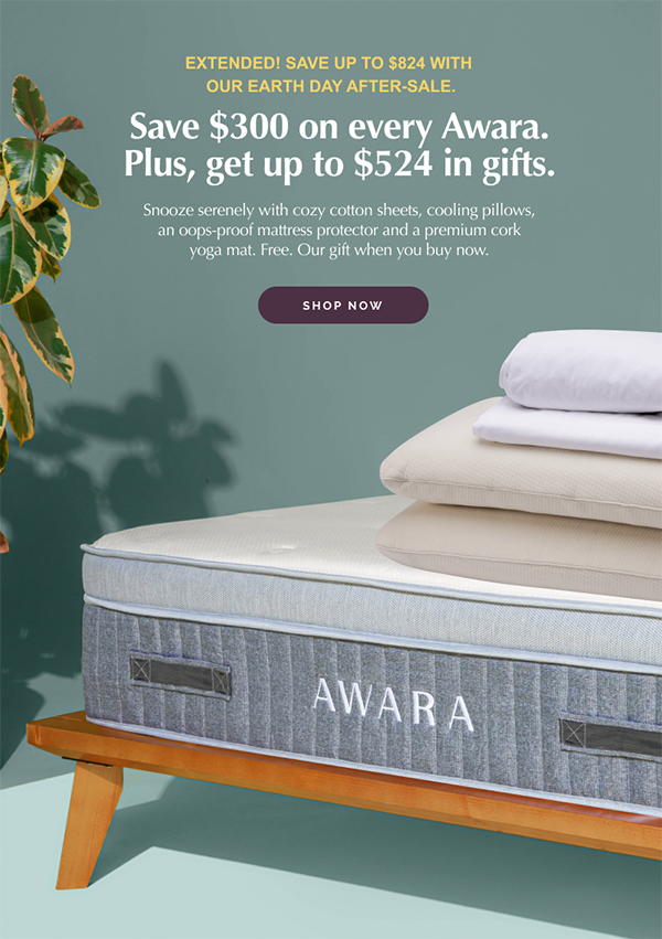 The Earth Day Sale