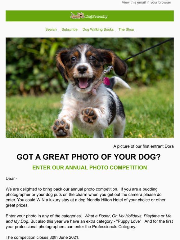 Have You Got a Great Photo of Your Dog?