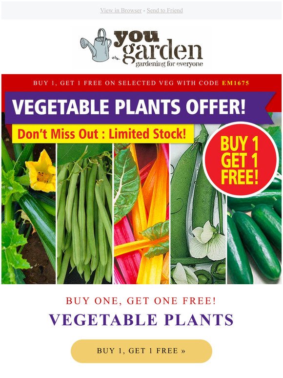 Buy 1, Get 1 FREE! Vegetable Plants TODAY!