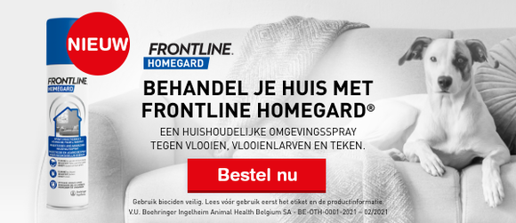 Frontline
