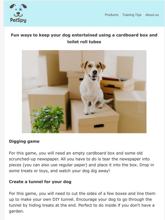 How to keep dogs entertained during lockdown – using cardboard