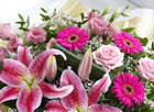 All Flowers