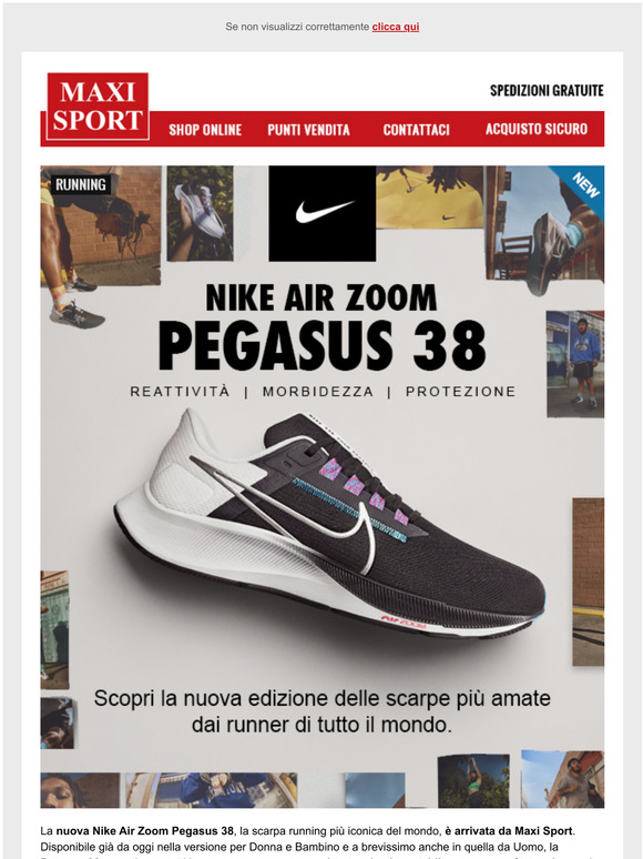 nike pegasus 29 Vendita