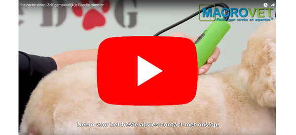 Wetenschap hospita Miljard macrovet.nl nl: Video: Zelf je hond trimmen | Milled