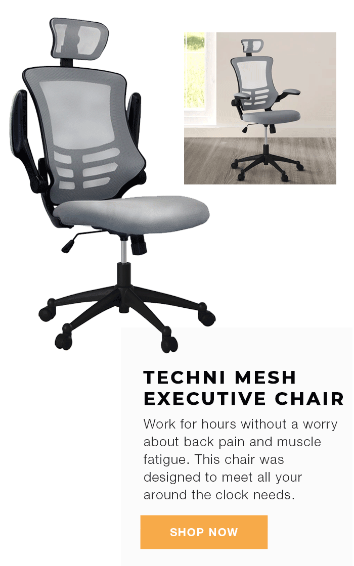 Techni Mesh Executive Chair