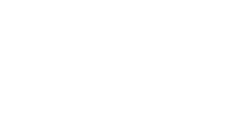 Star Stable - Logo