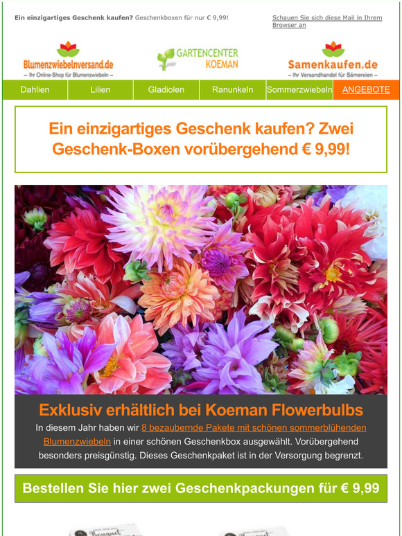 Samenkaufen De 60 Rabatt Auf 100 Tulpen Milled