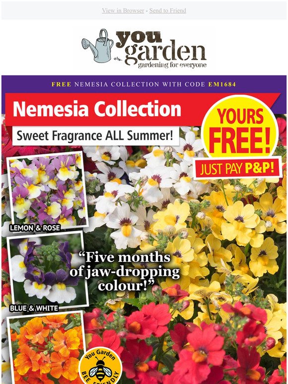 Fragrant Nemesia Collection - Just Pay P&P (worth 14.99)