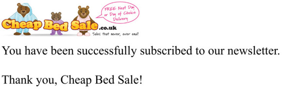 Newsletter subscription success