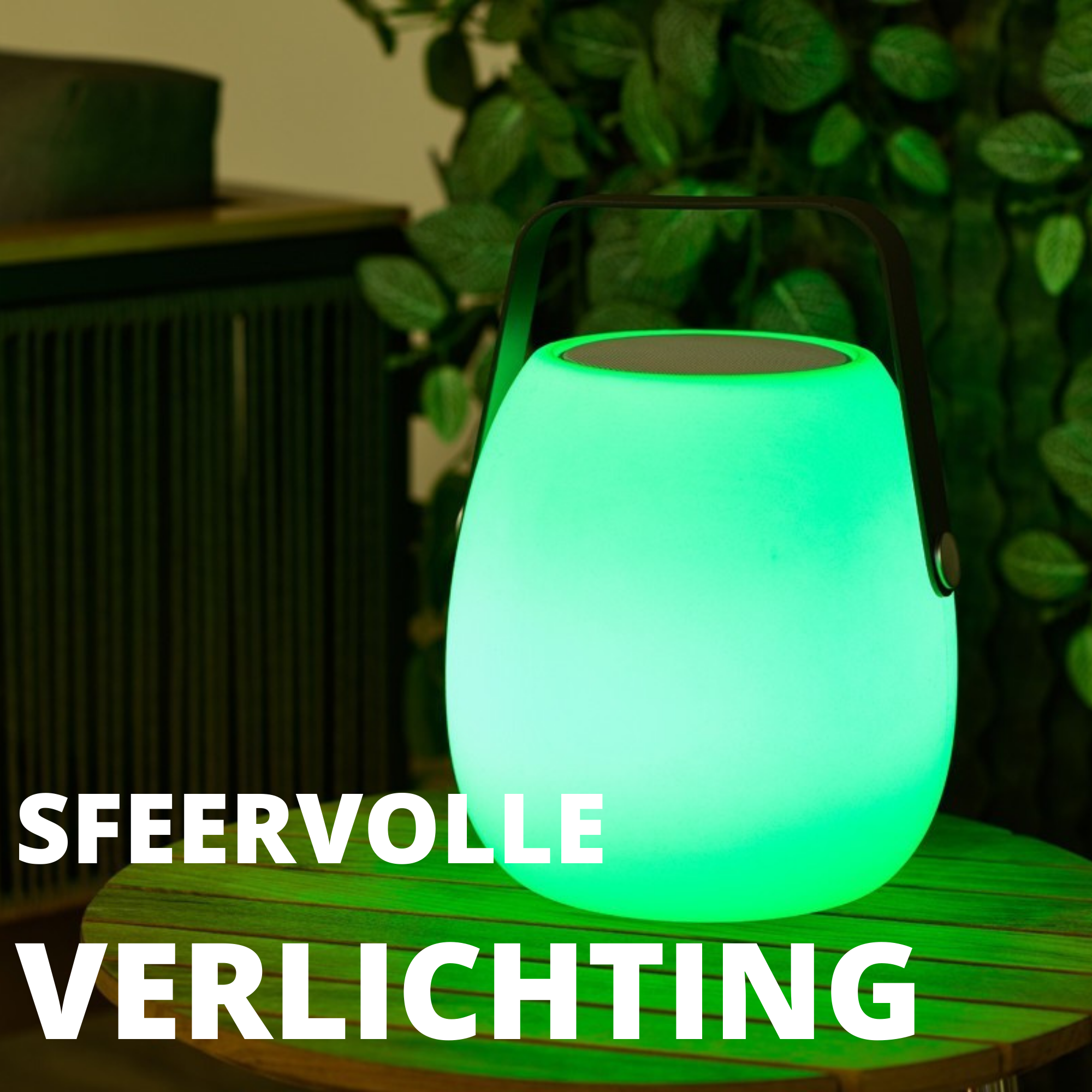 Tuinverlichting