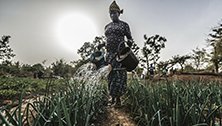 Bäuerin im Dorf Soubo in Burkina Faso