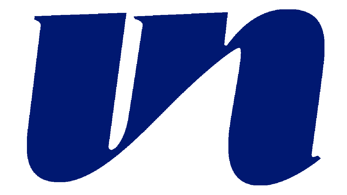 un logo in navy