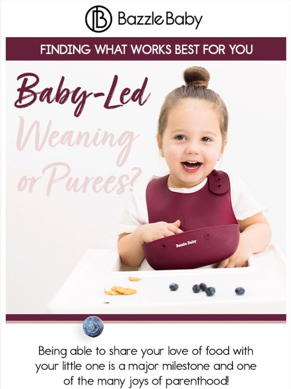 Baby Led Weaning or Purees?