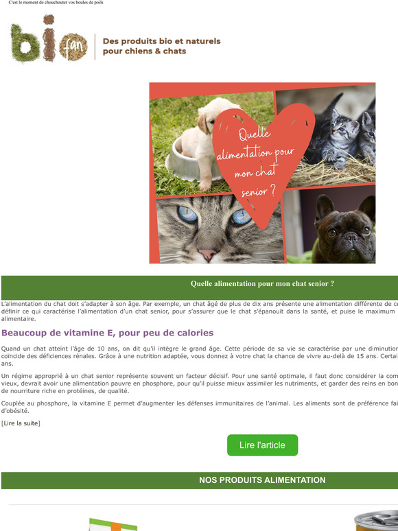  Quelle alimentation pour mon chat senior ?