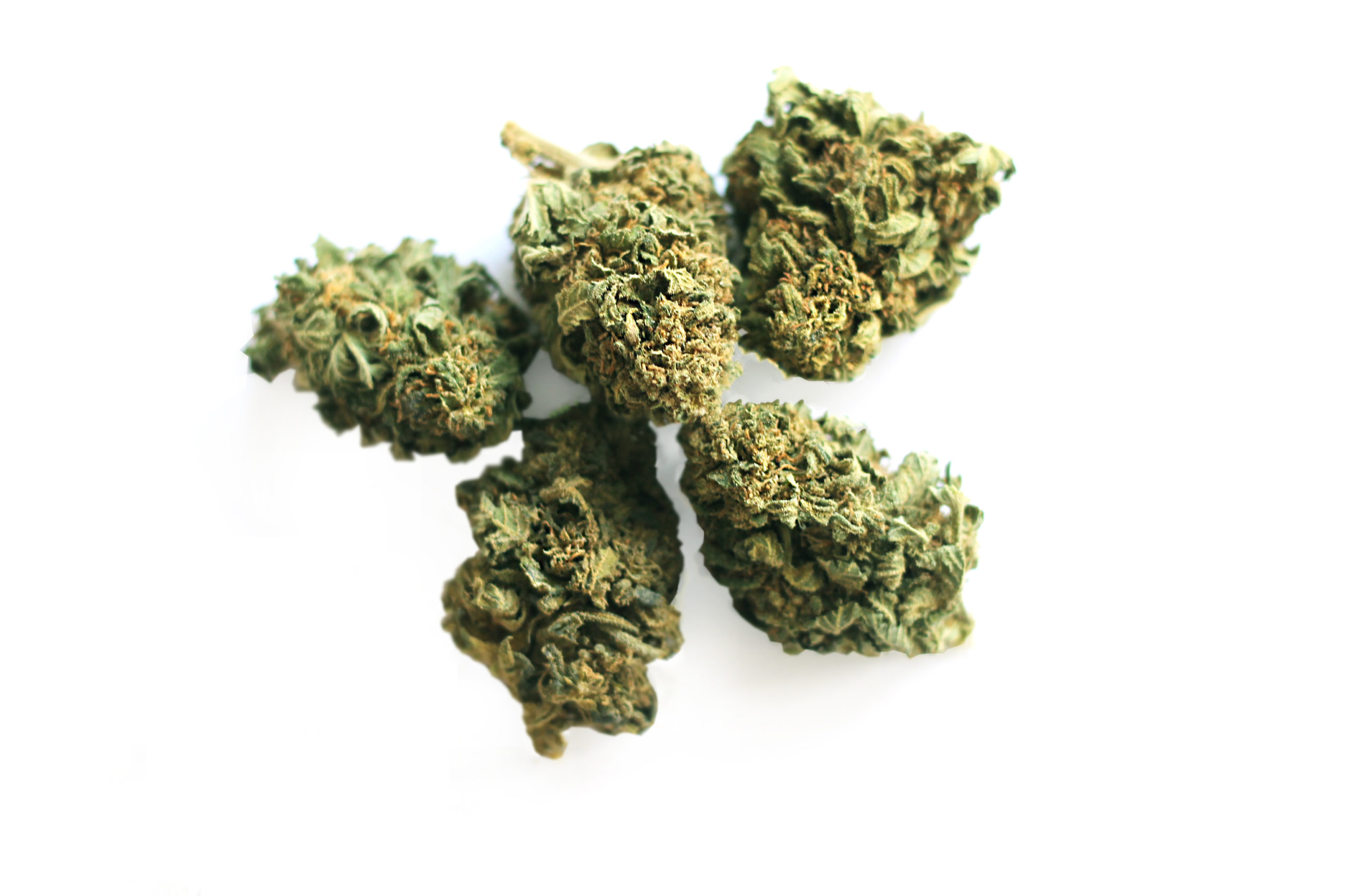Image of CBD Fruit Cake 5g