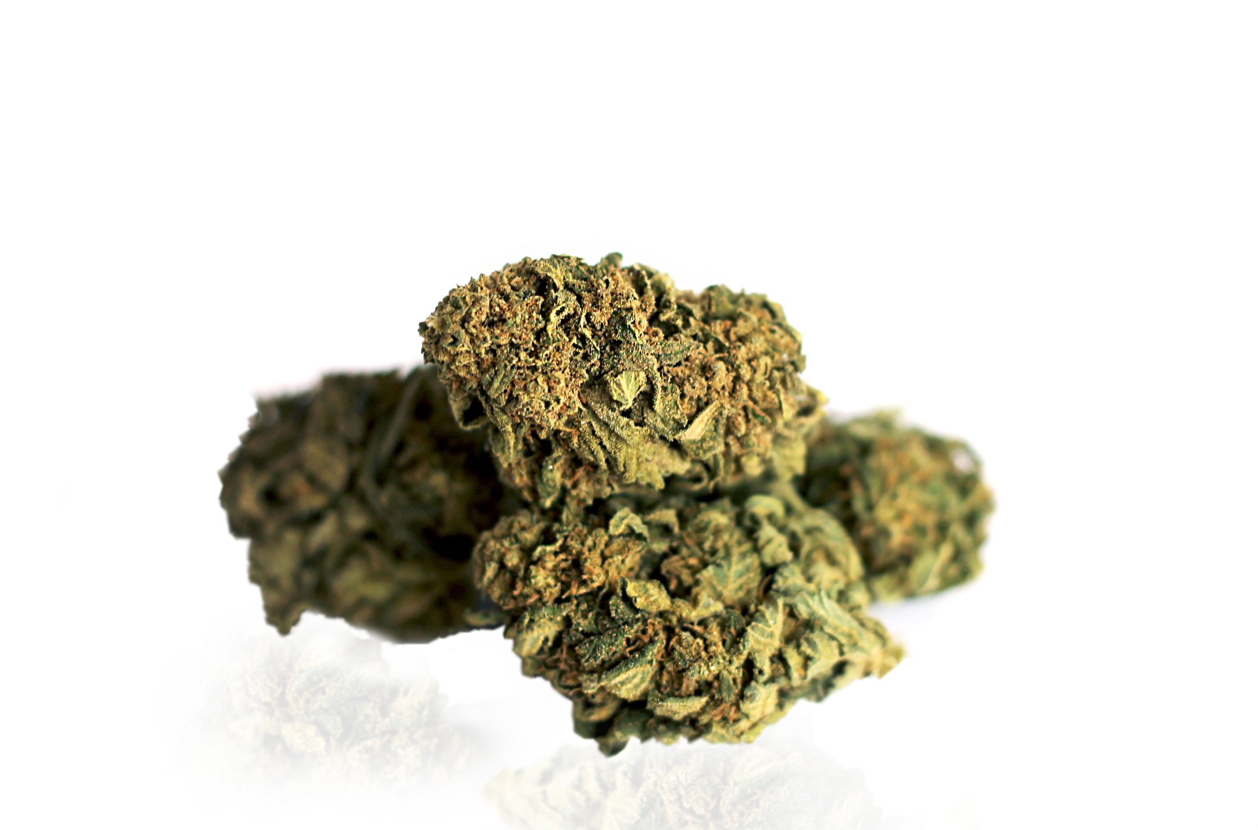 Image of CBD Gorilla 5g