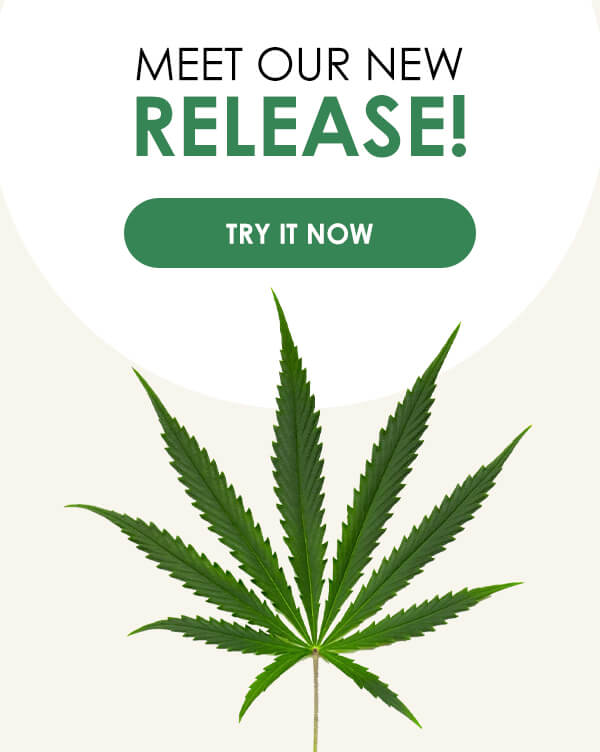 Meet Our New Release! - Try It Now