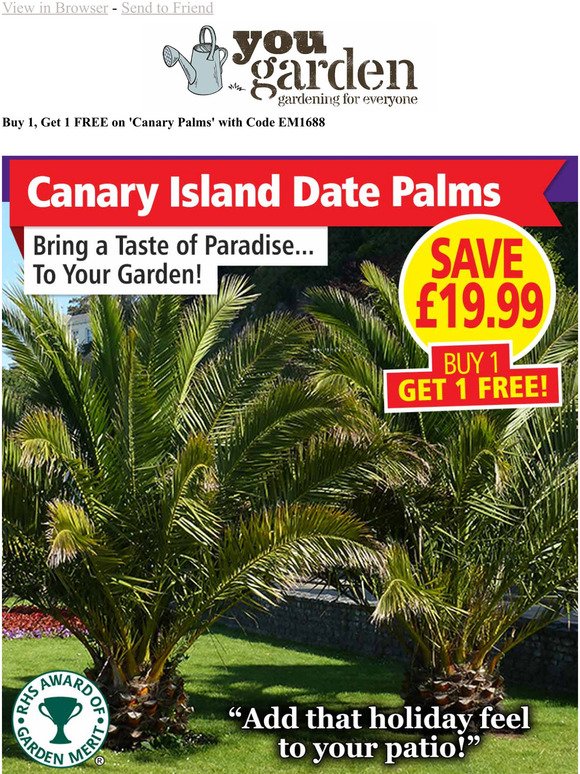 2 for 1 OFFER on Phoenix Palms TODAY!