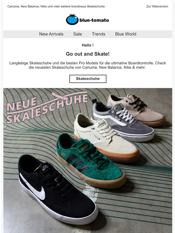 bester skateschuh