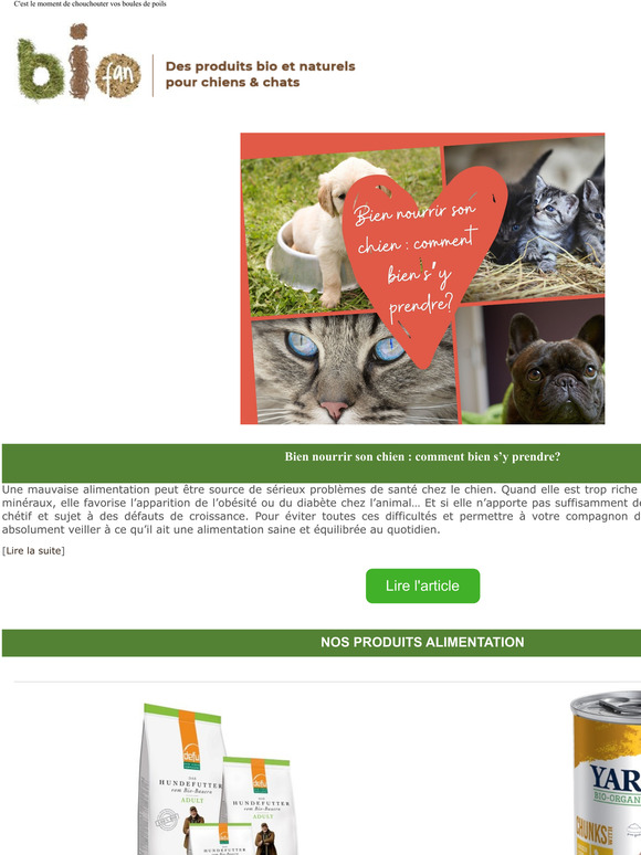  Bien nourrir son chien : comment bien sy prendre?