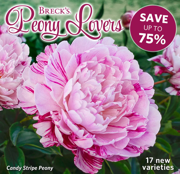 Breck S Special Savings On Generational Peonies Milled
