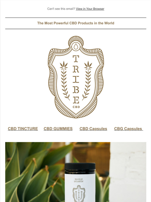 Tribe CBD Gummies Are Back In Stock!