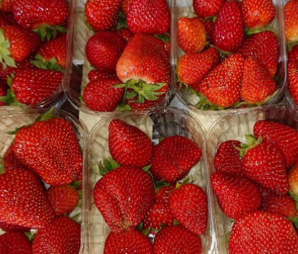 Pour De Bon Fr Fraises C Est La Pleine Saison Milled