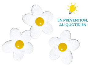 3 fleurs absorbantes 3 fleurs absorbantes