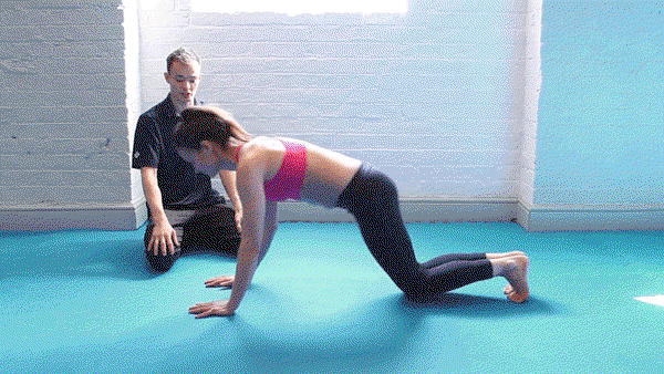plank gif