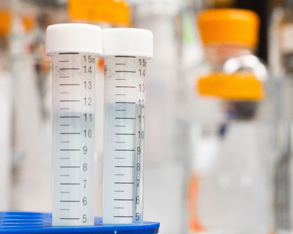 How long does CBD stay in your system?